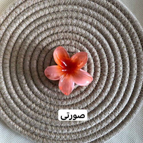 Plumeria flower design girls' hair clips