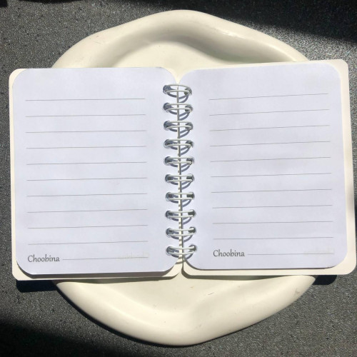 Choobina Cute Labubu Spiral Pocket Notebook (Pastel Green)