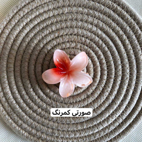 Plumeria flower design girls' hair clips
