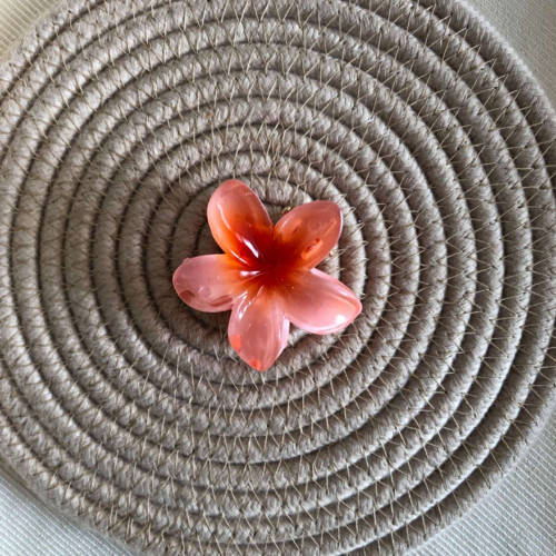 Plumeria flower design girls' hair clips