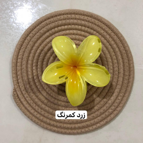 Plumeria flower design girls' hair clips