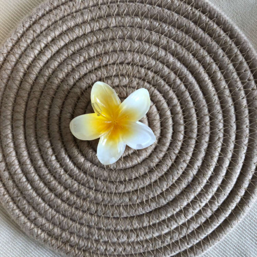 Plumeria flower design girls' hair clips