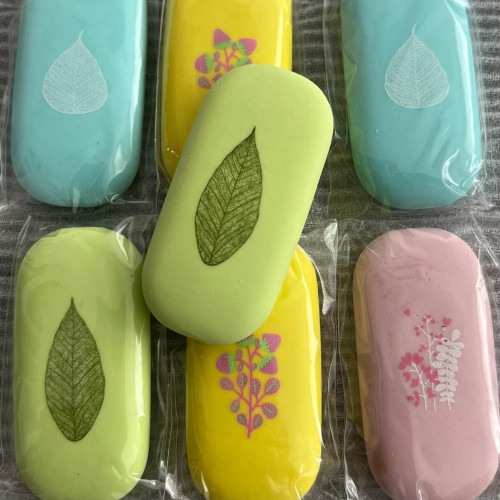 Minimalist Nature Design Pastel Erasers