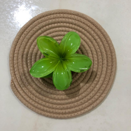 Plumeria flower design girls' hair clips