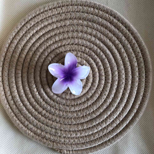 Plumeria flower design girls' hair clips